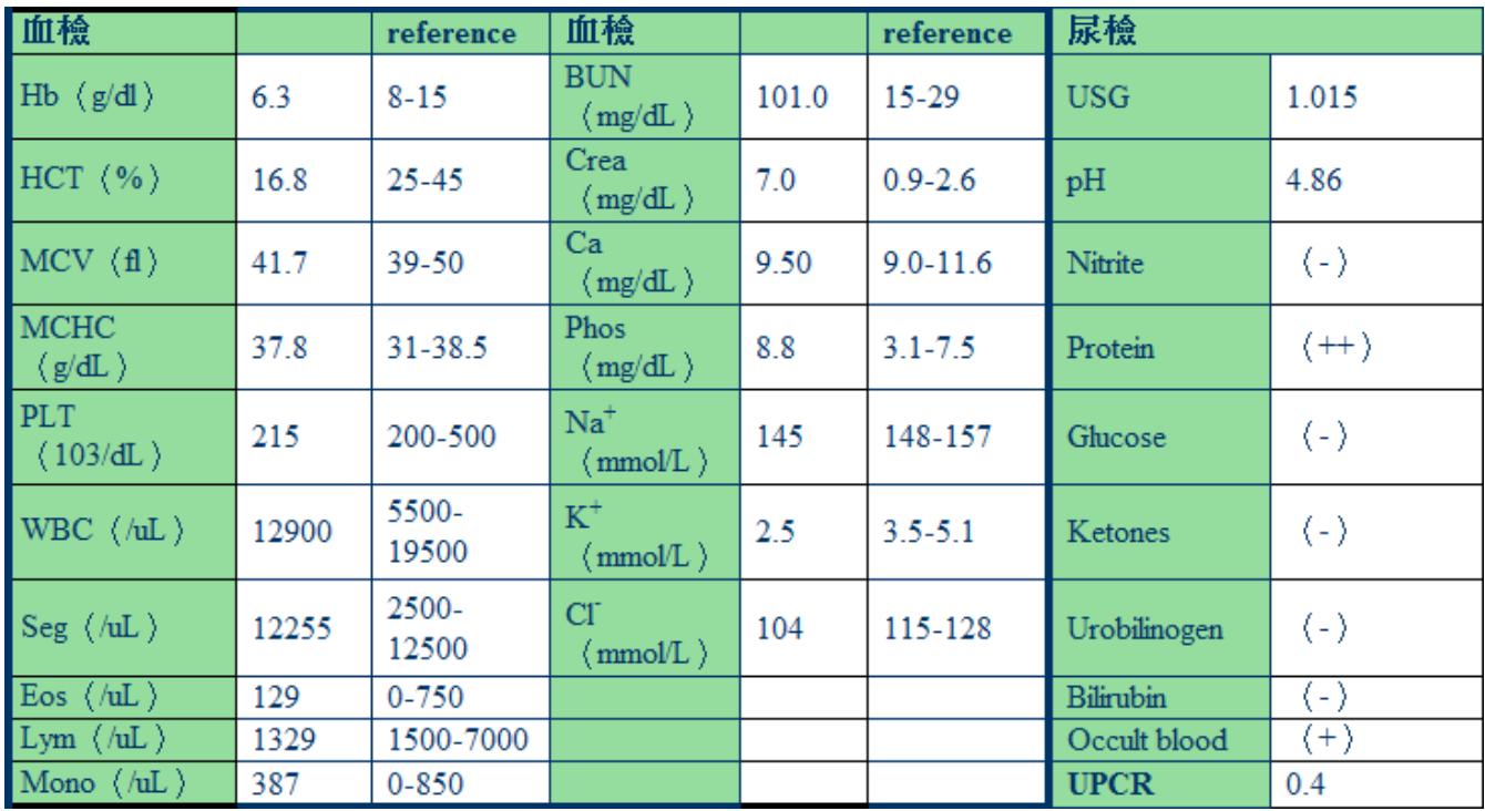 題目圖片
