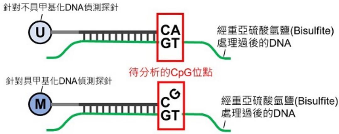 題目圖片