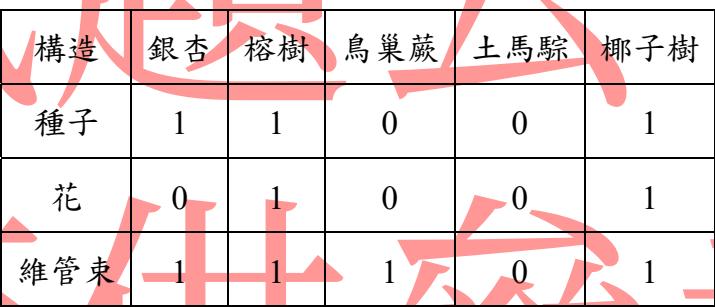 題目圖片
