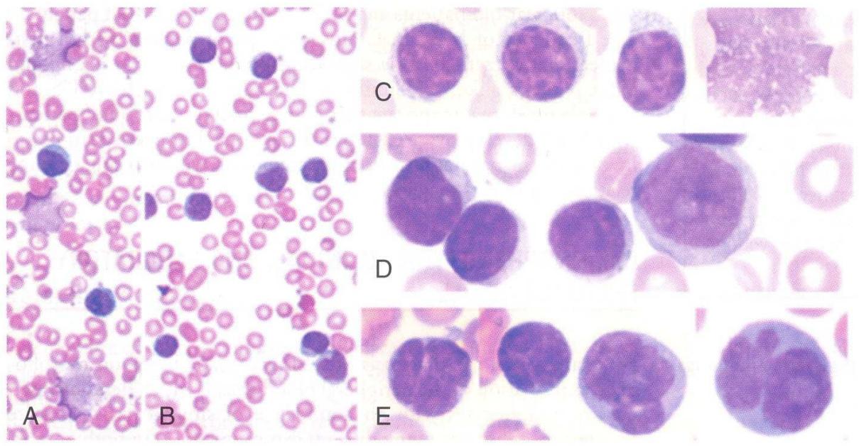 題目圖片
