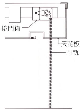 選項 D