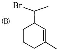 選項 B