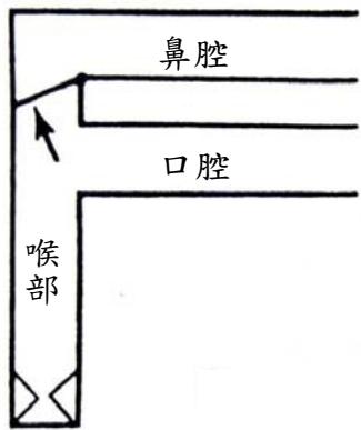 題目圖片