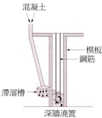 選項 C