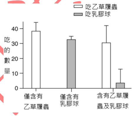 題目圖片