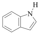 選項 D