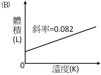 選項 B