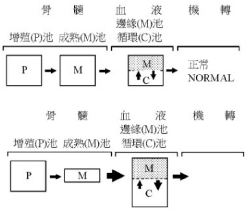 題目圖片