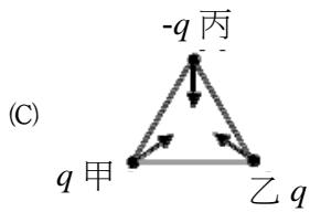 選項 C