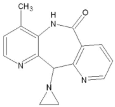 選項 B