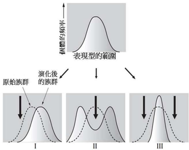 題目圖片