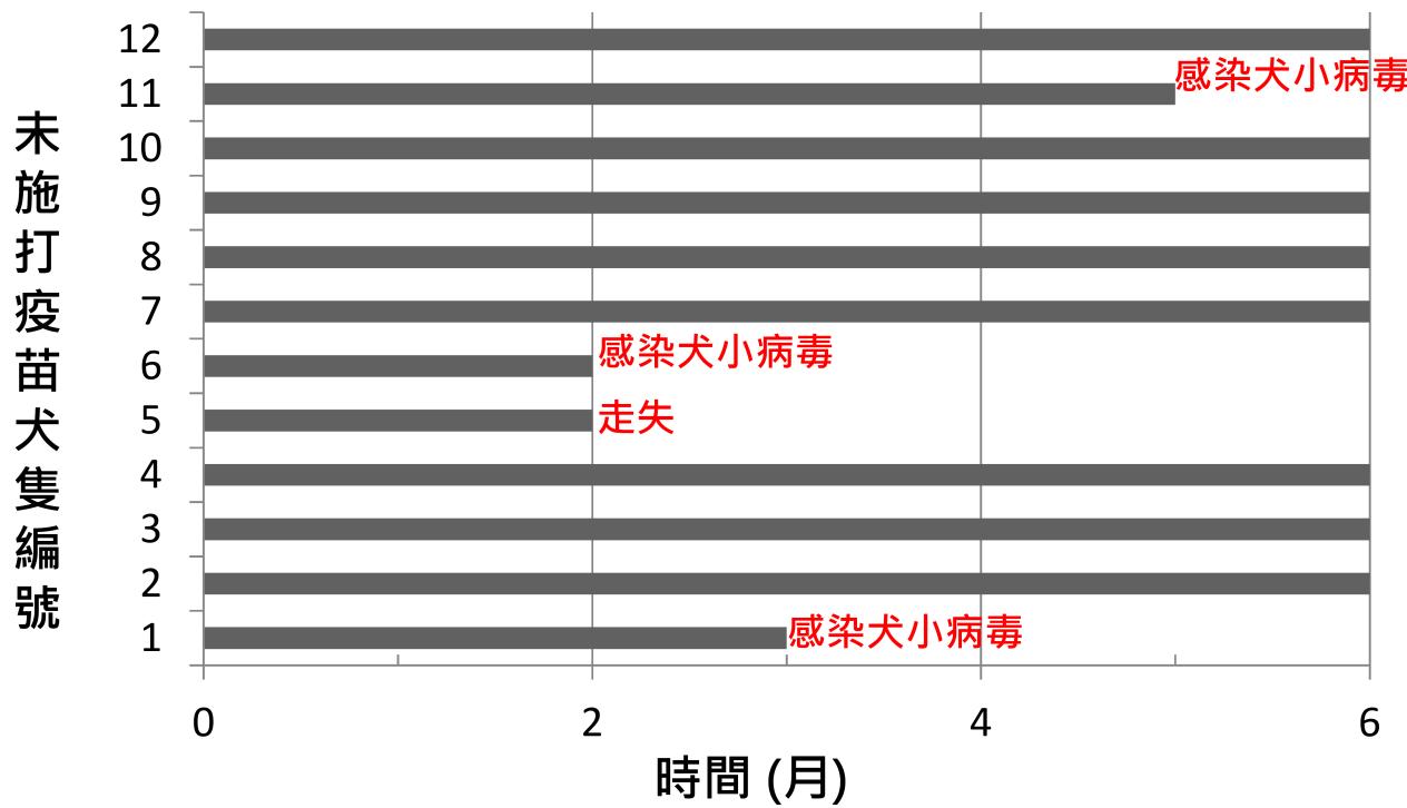 題目圖片