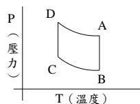 選項 D