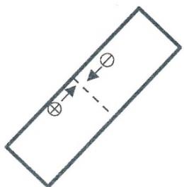 選項 C