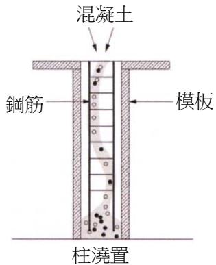 選項 D