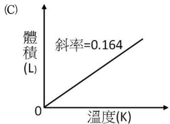 選項 C
