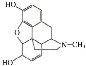 題目圖片