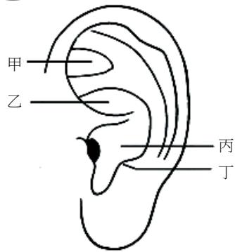 題目圖片