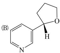 選項 B